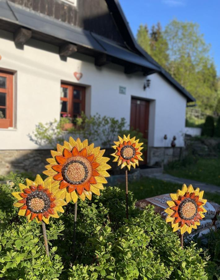 Rozpravkovy Domcek Zvoncek Villa Donovaly Exterior foto