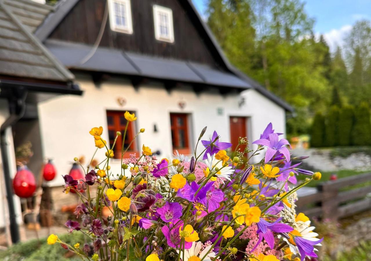Rozpravkovy Domcek Zvoncek Villa Donovaly Exterior foto